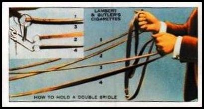 10 How to hold a double bridle